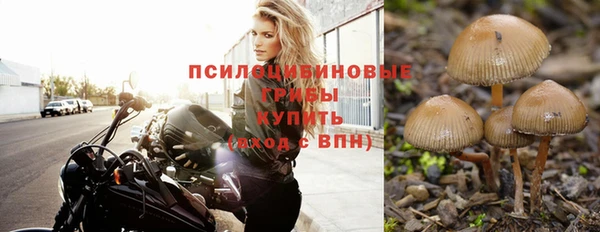 соль курить ск Киреевск