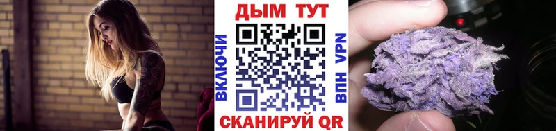 купить наркотики цена  Монино  Шишки марихуана THC 21% 